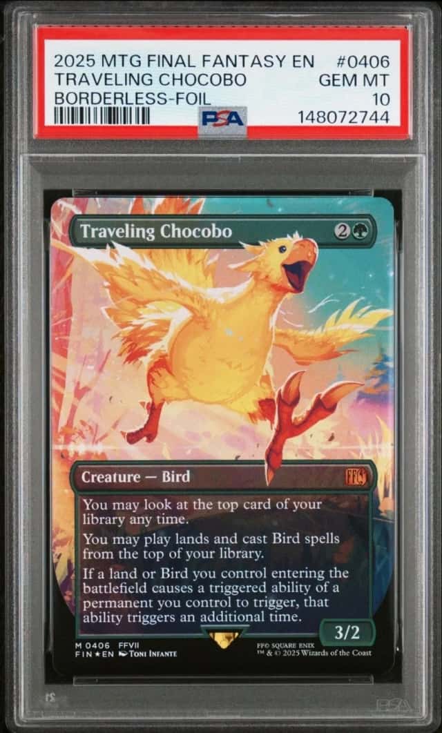 Traveling Chocobo