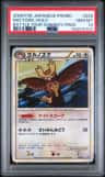 Noctowl