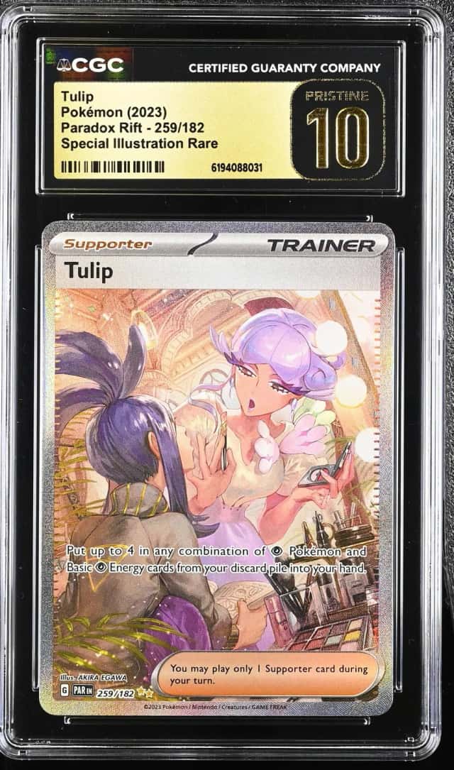Tulip