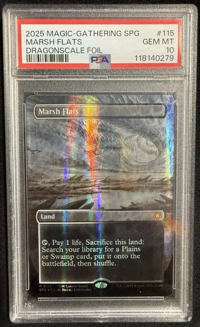Marsh Flats
