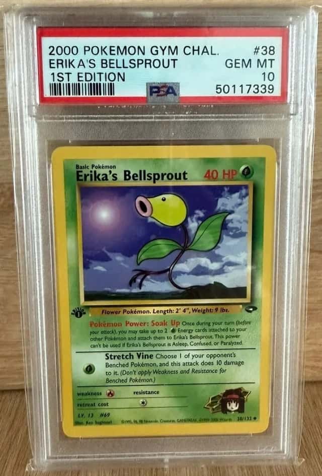 Erika's Bellsprout