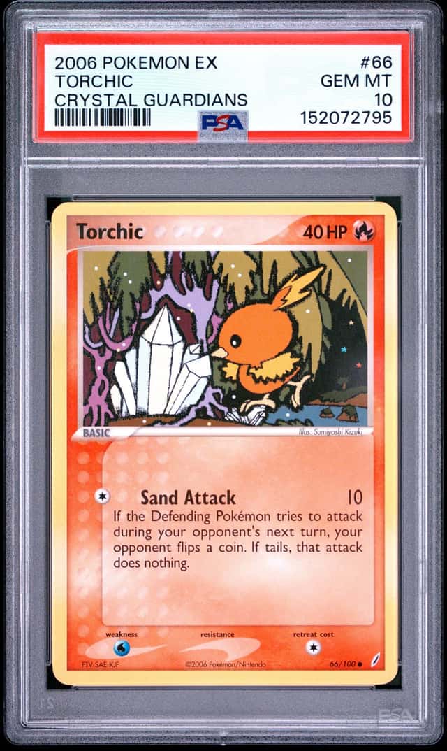Torchic