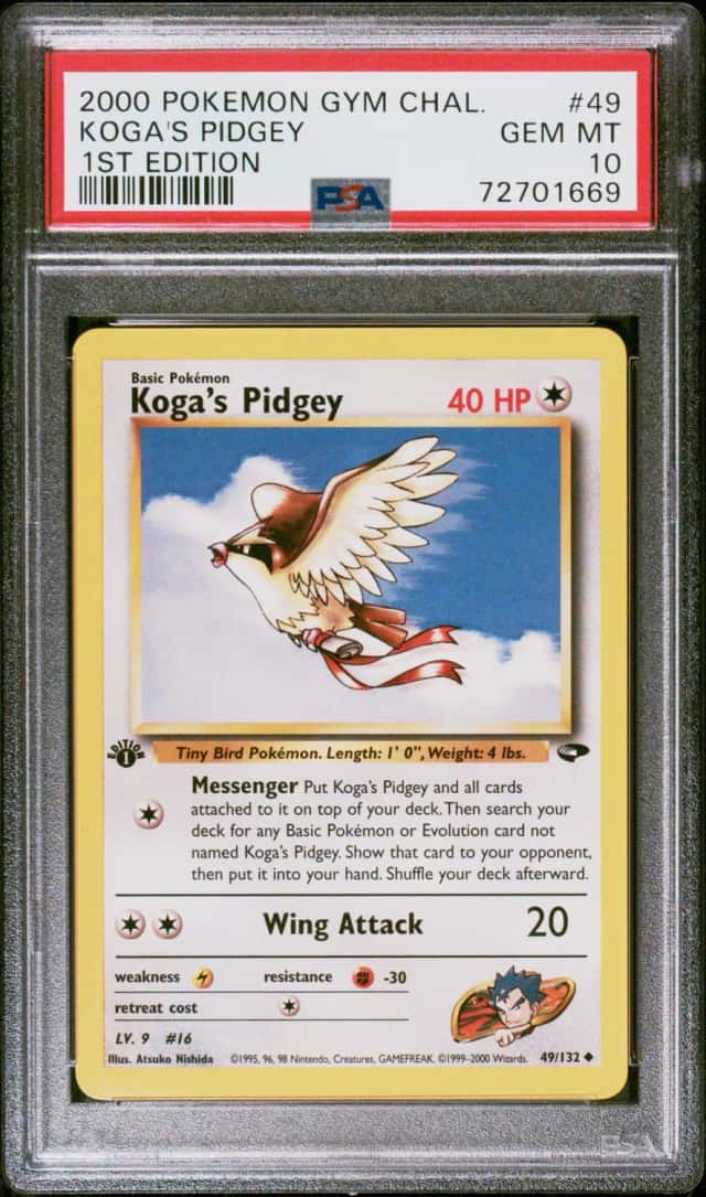 Koga's Pidgey