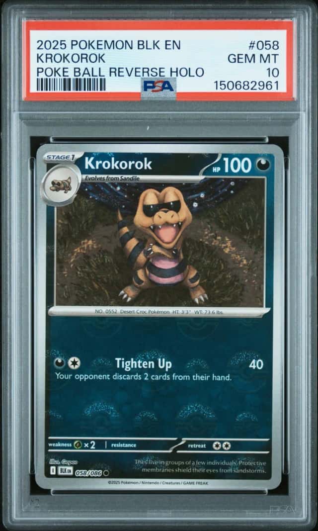 Krokorok