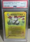 Magneton
