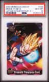 Brook/vegeta