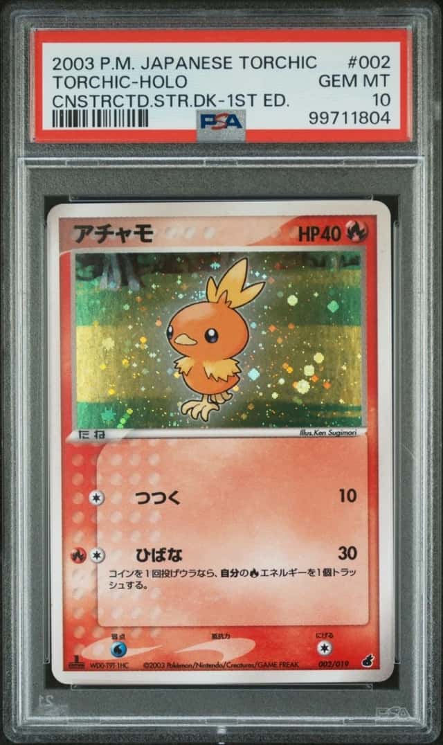 Torchic