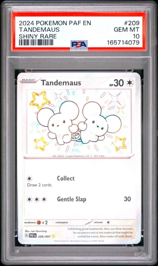 Tandemaus