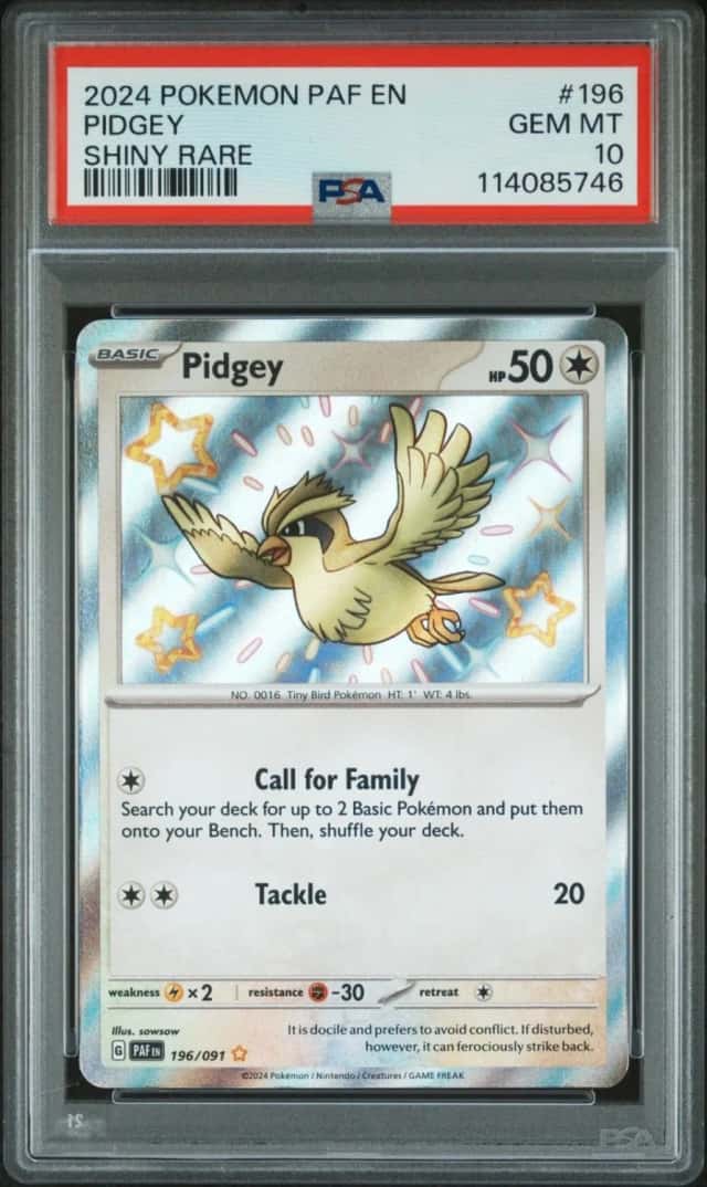 Pidgey