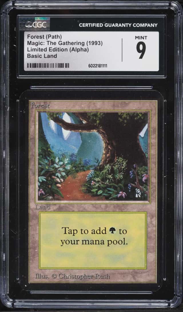 Forest (Path)