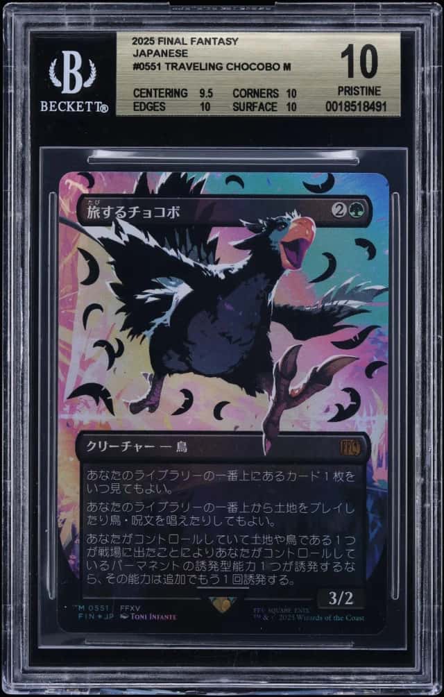Traveling Chocobo