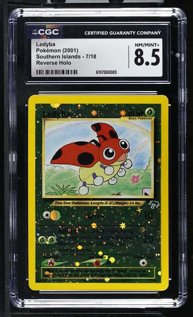 Ledyba