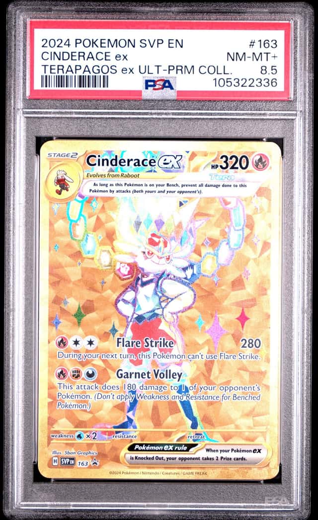 CINDERACE ex