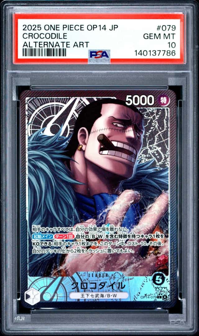 Crocodile