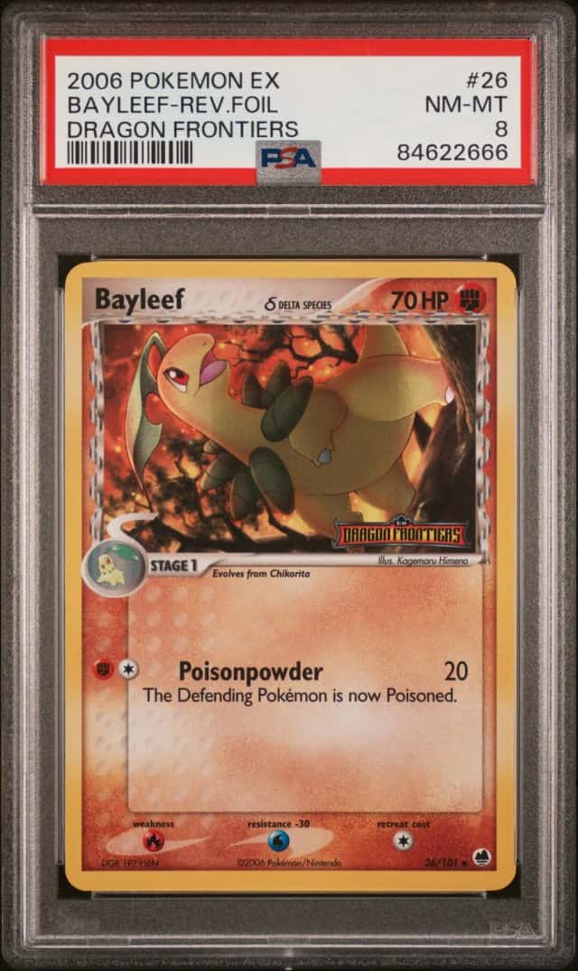 Bayleaf Δ