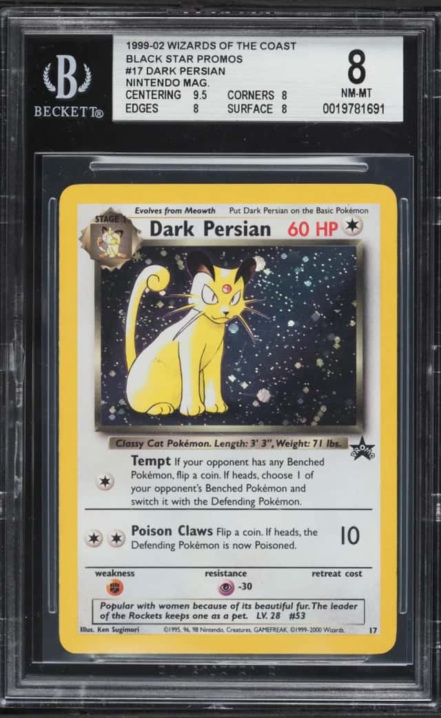 Dark Persian