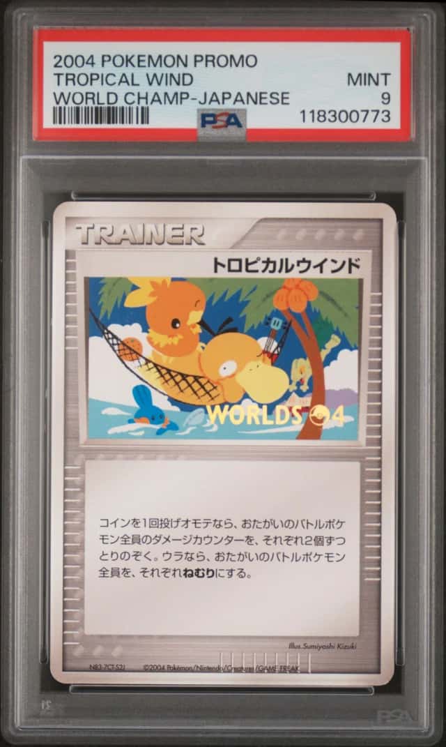 Tropical Wind