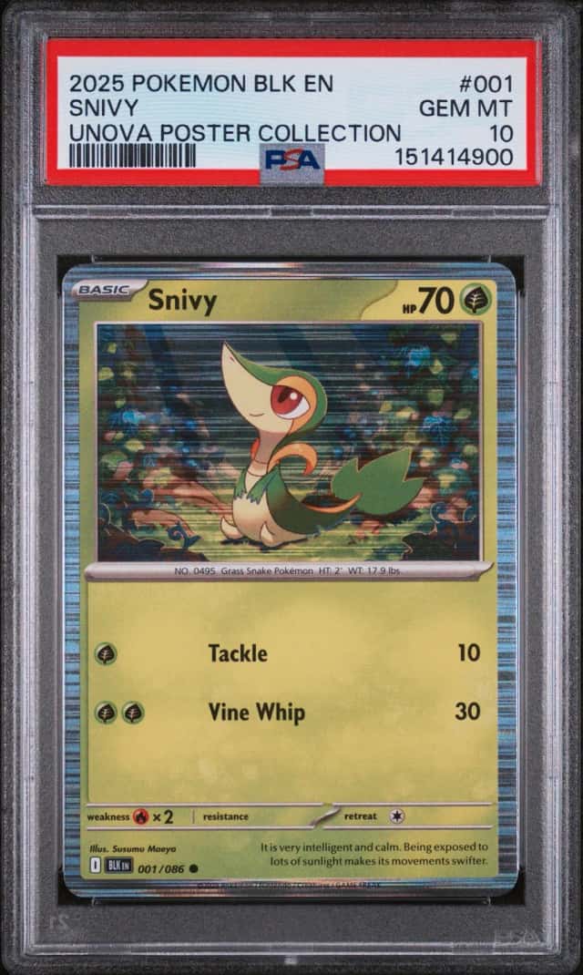 Snivy
