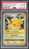 Raichu Lv.x