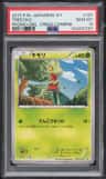 Treecko