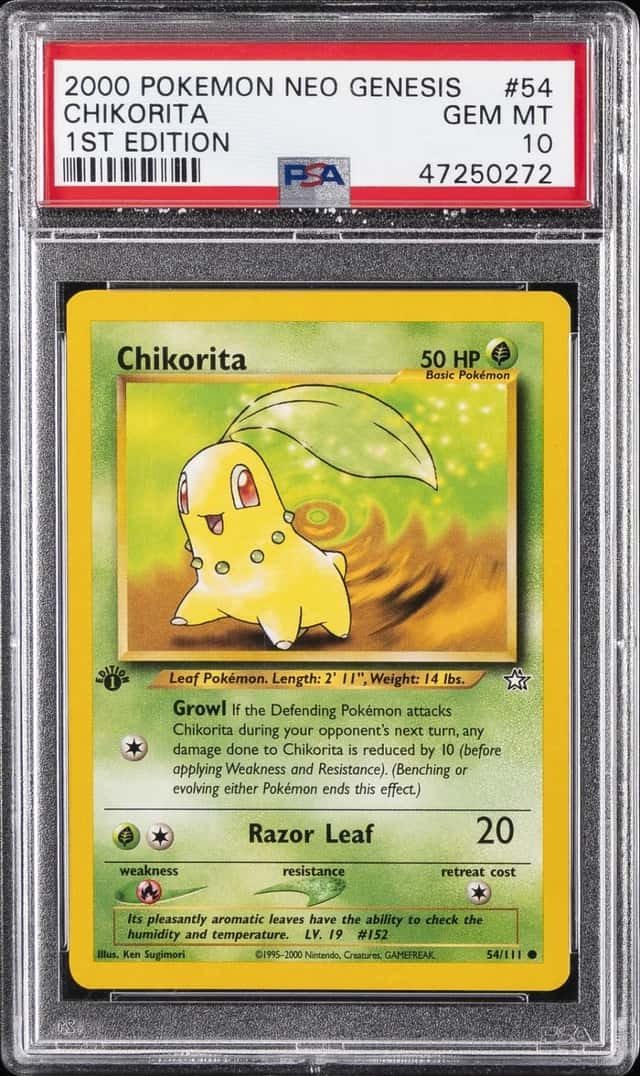 Chikorita