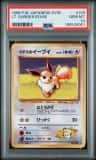 Lt. Surge'S Eevee