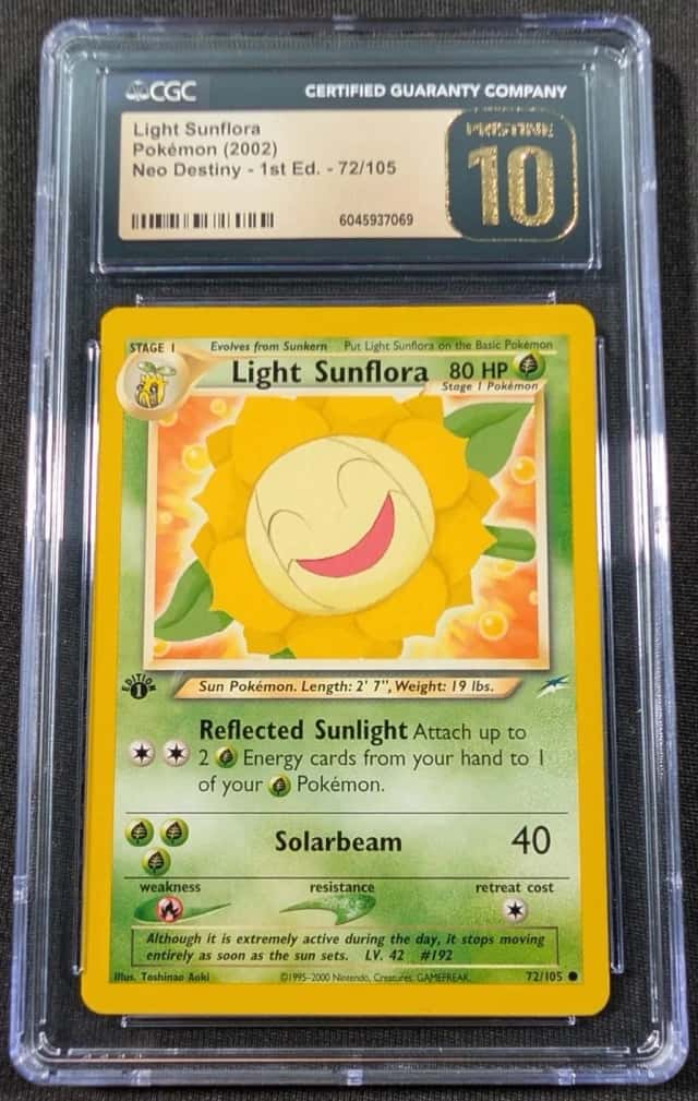 Light Sunflora
