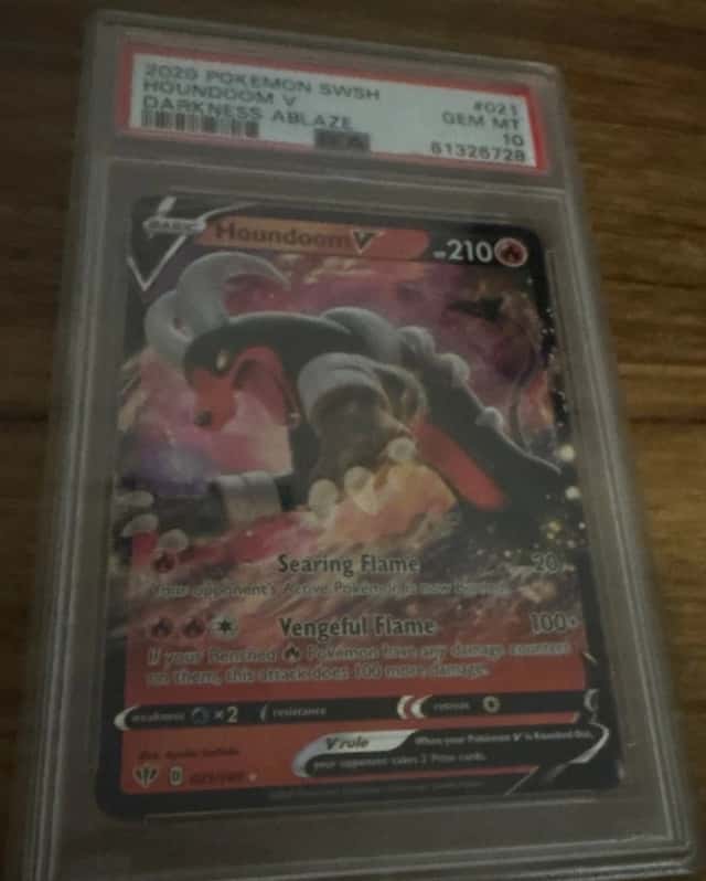 Houndoom V