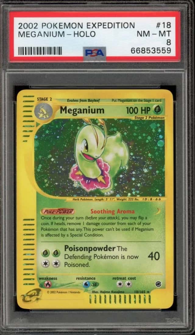 Meganium