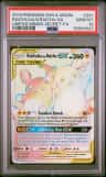 Raichu & Alolan Raichu Gx