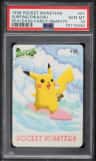 Surfing Pikachu