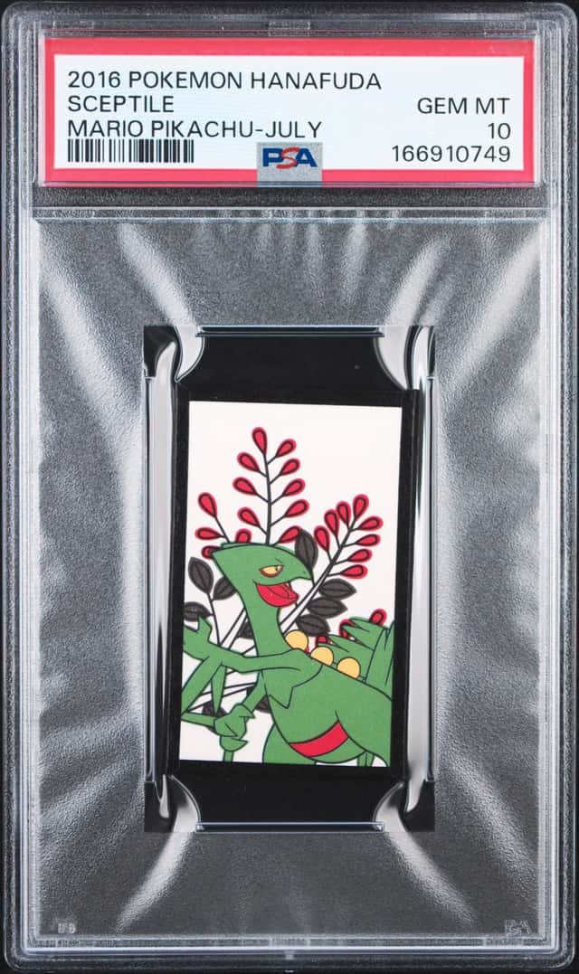 Sceptile