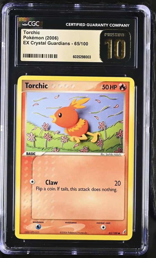 Torchic
