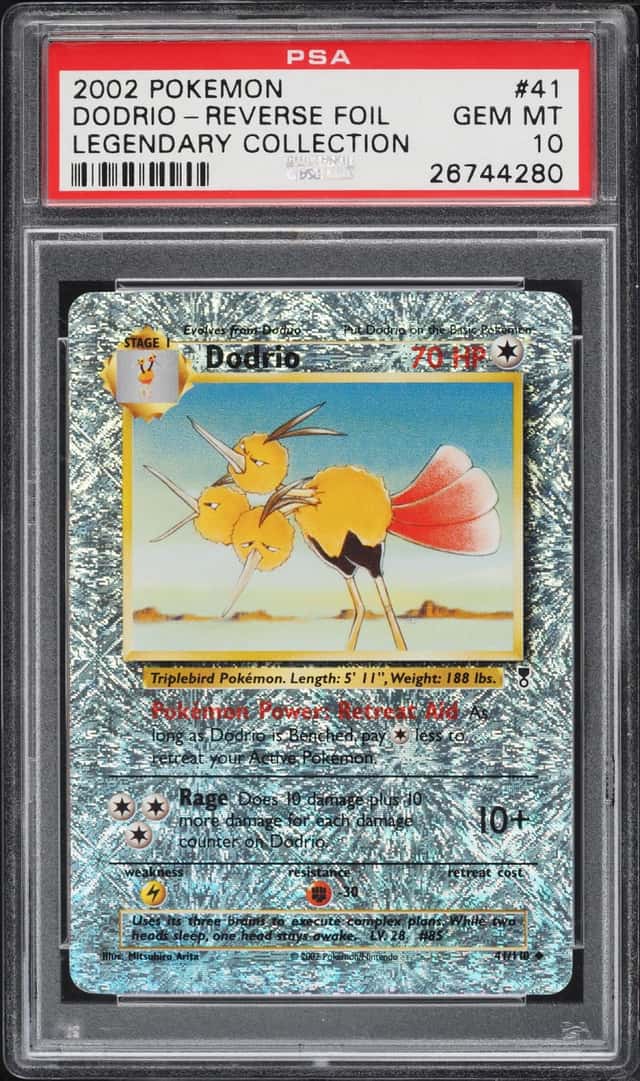 Dodrio