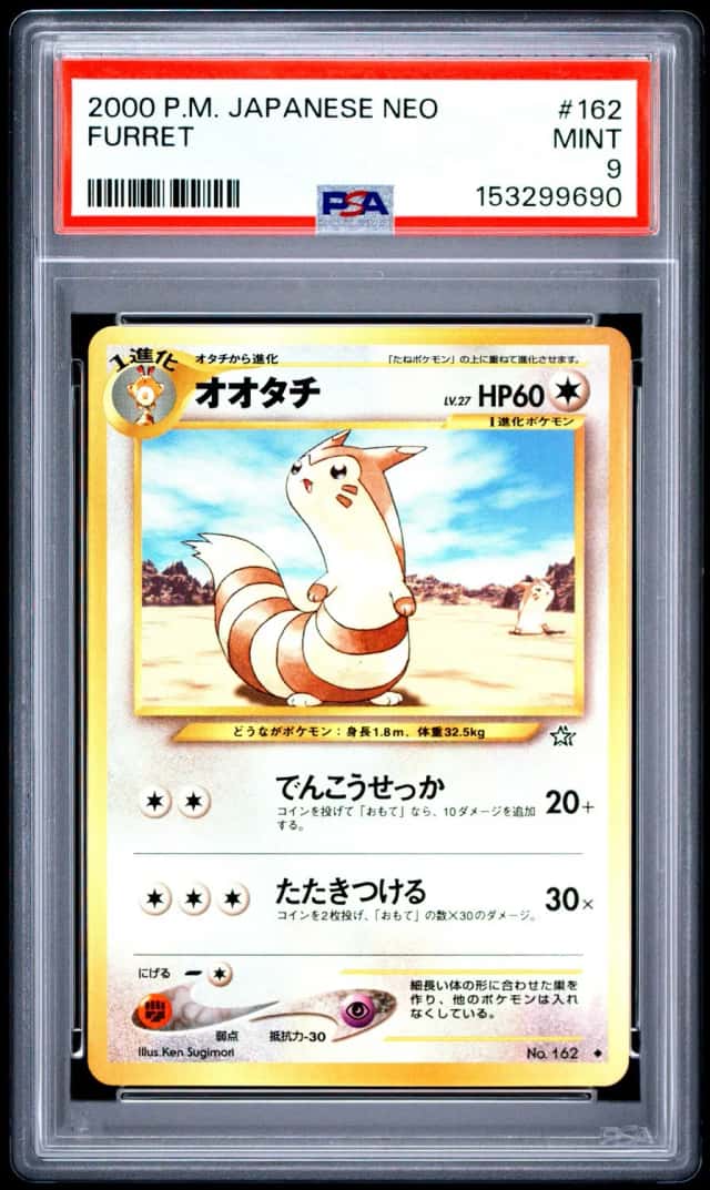 Furret
