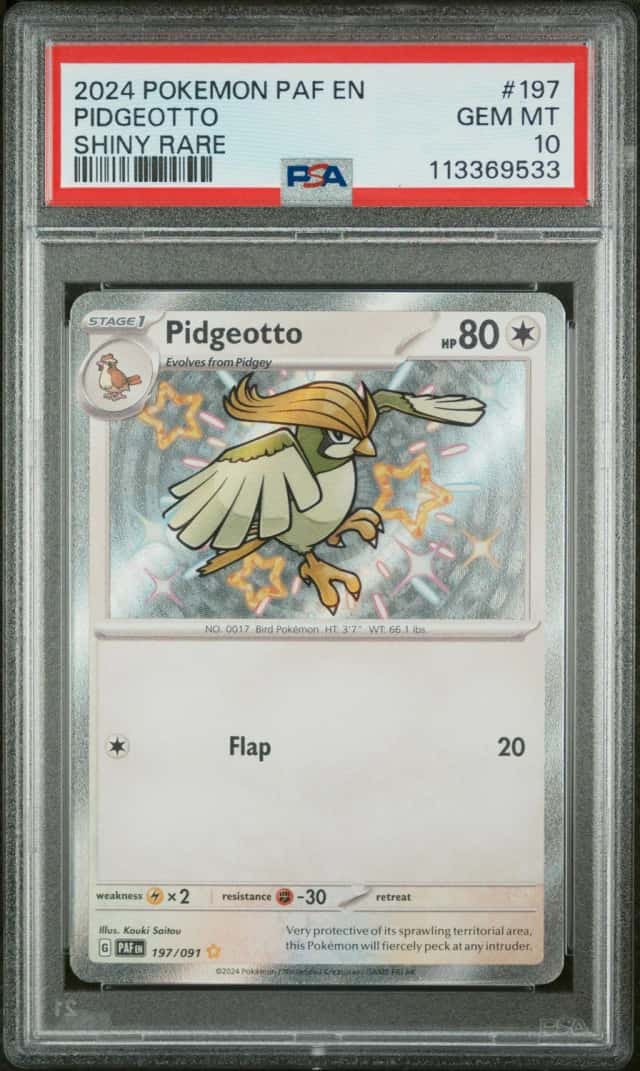 Pidgeotto