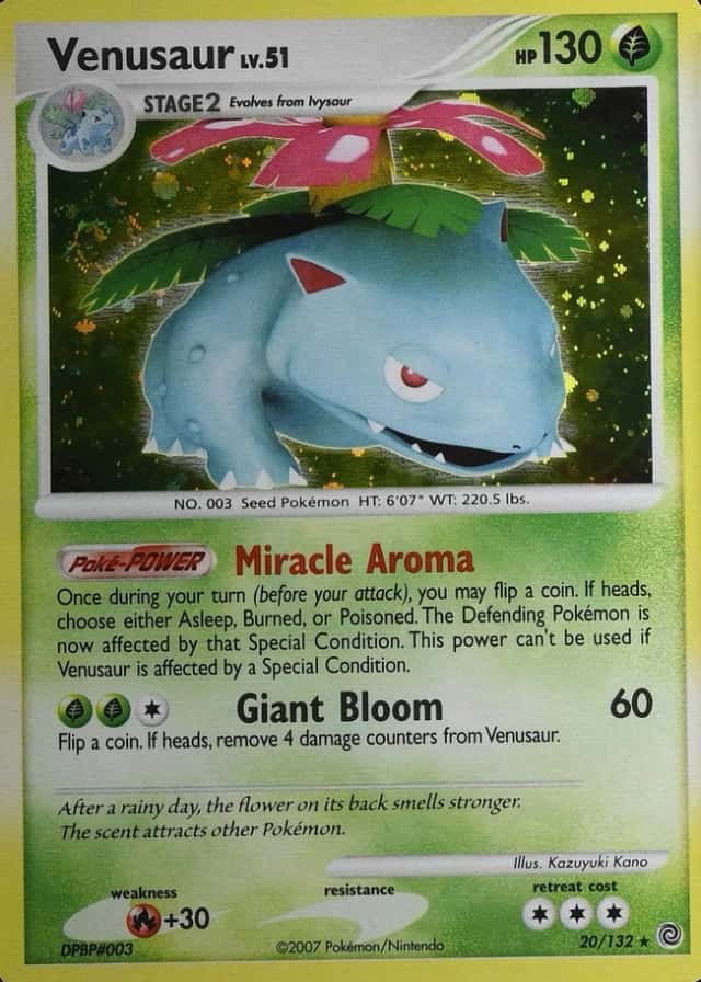 Error · Holo