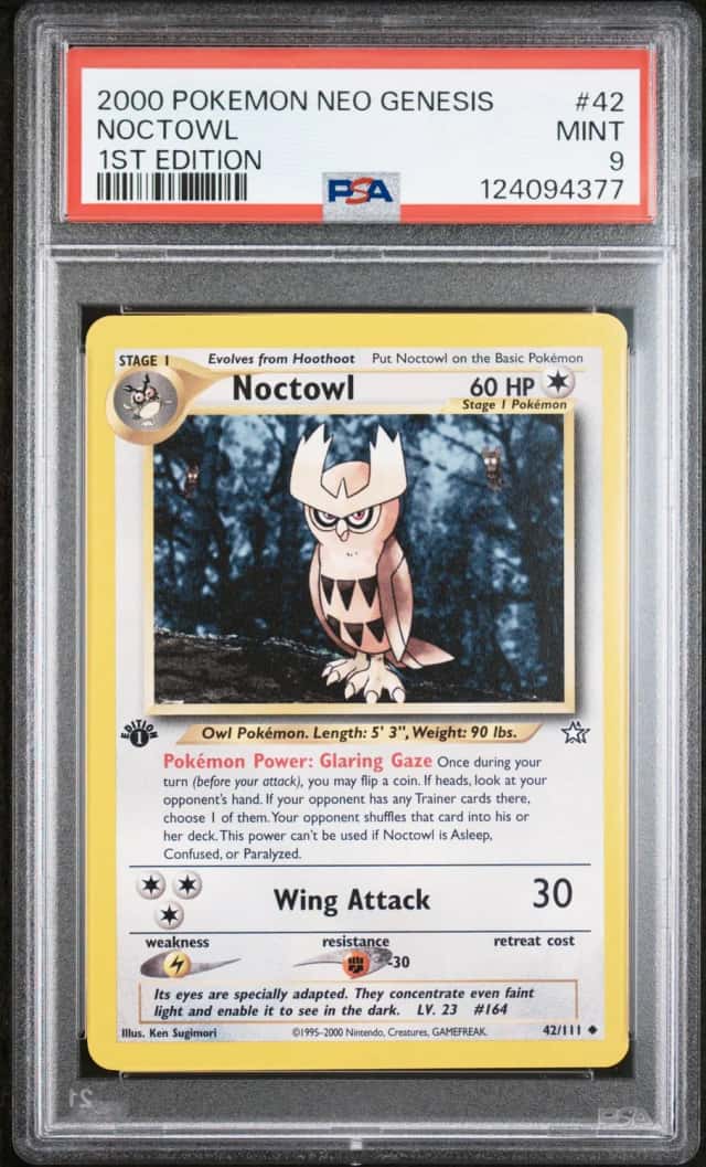 Noctowl
