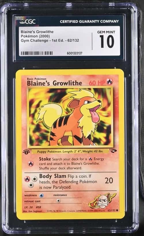 Blaine's Growlithe