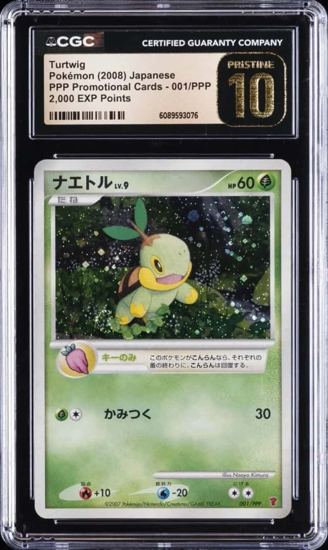 Turtwig
