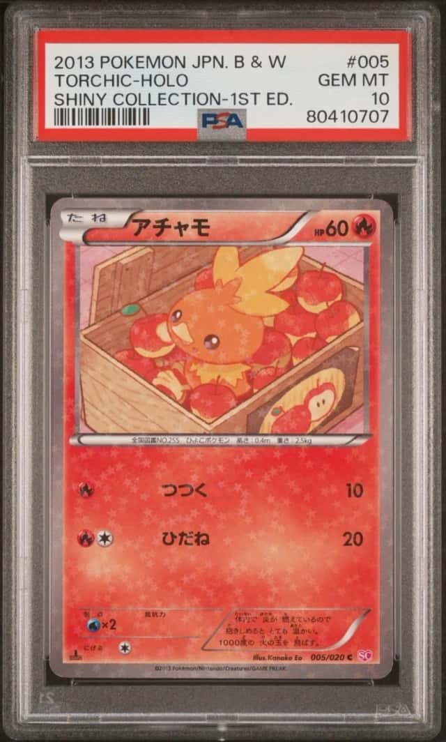 Torchic