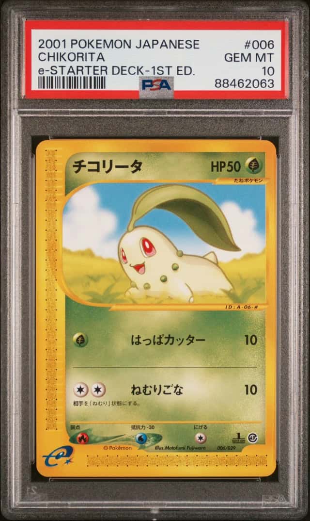 Chikorita