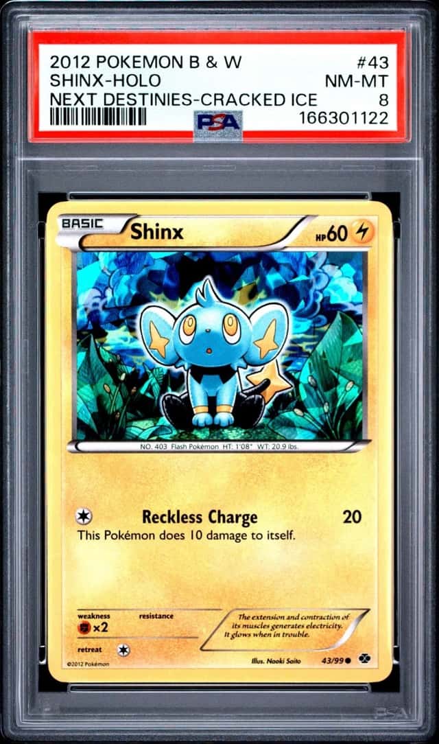 Shinx