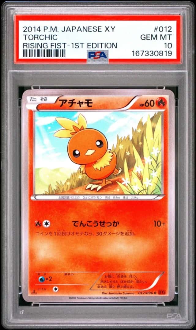 Torchic