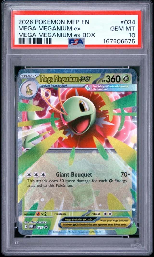 MEGA MEGANIUM ex