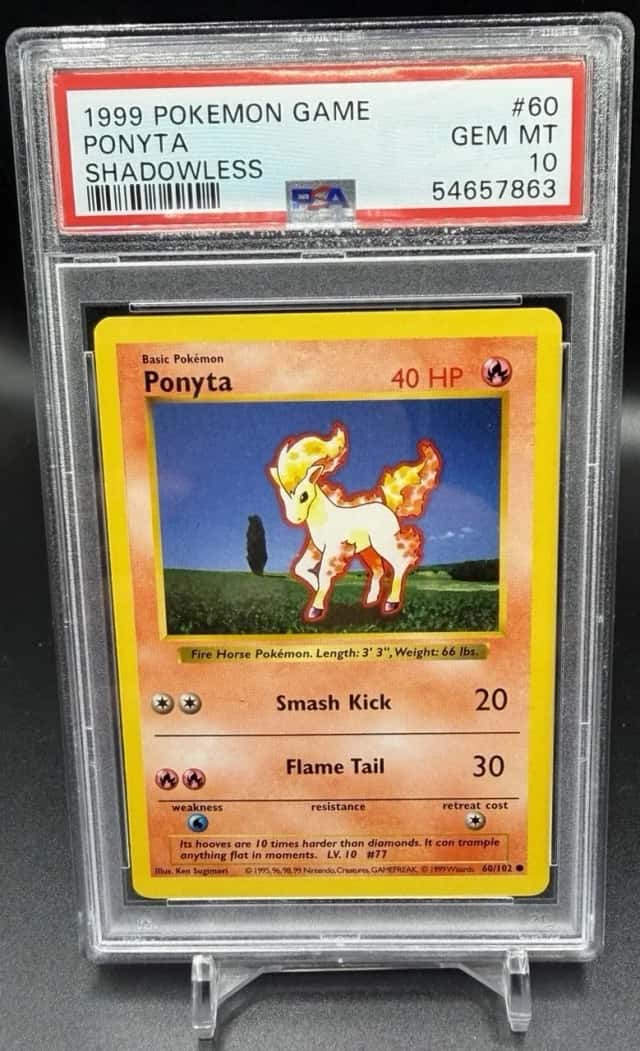 Ponyta
