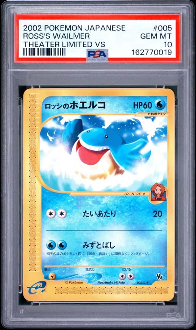 Ross's Wailmer