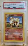 Arcanine