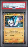 Pachirisu