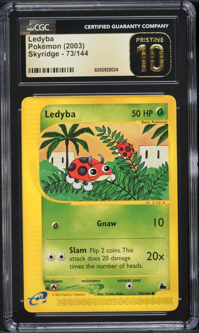 Ledyba